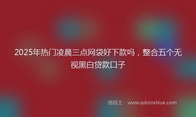 2025年热门凌晨三点网袋好下款吗，整合五个无视黑白贷款口子