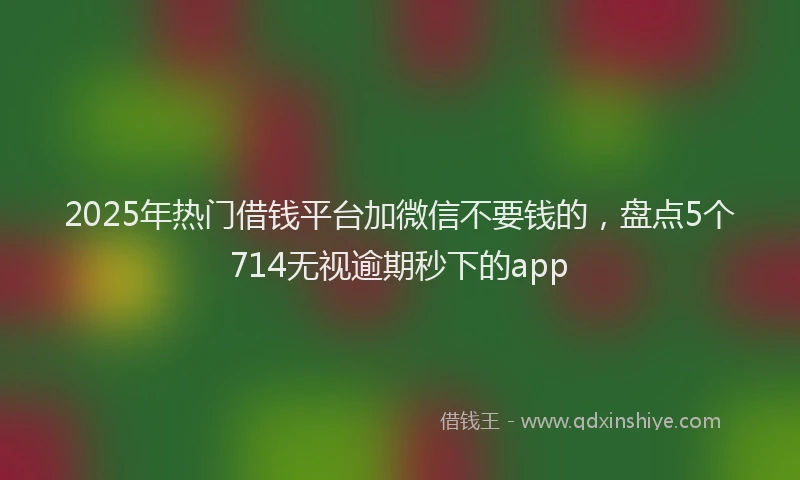 2025年热门借钱平台加微信不要钱的，盘点5个714无视逾期秒下的app