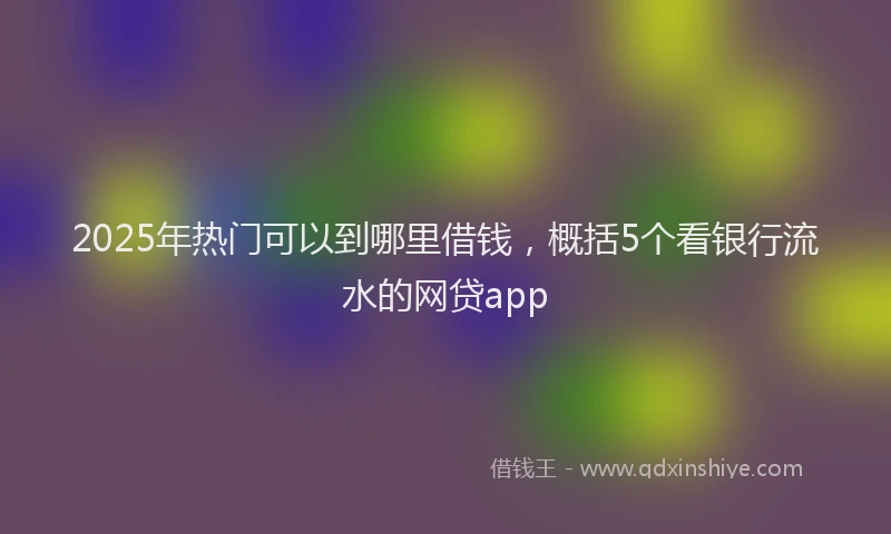 2025年热门可以到哪里借钱，概括5个看银行流水的网贷app