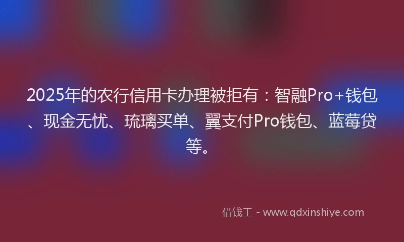 2025年的农行信用卡办理被拒有：智融Pro+钱包、现金无忧、琉璃买单、翼支付Pro钱包、蓝莓贷等。