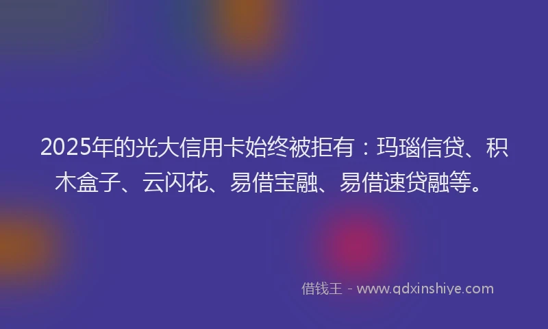 2025年的光大信用卡始终被拒有：玛瑙信贷、积木盒子、云闪花、易借宝融、易借速贷融等。