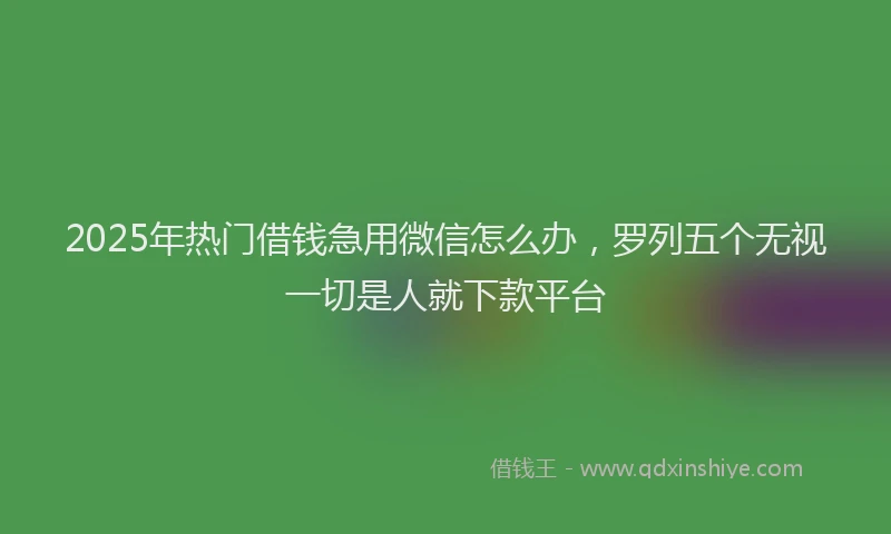 2025年热门借钱急用微信怎么办，罗列五个无视一切是人就下款平台