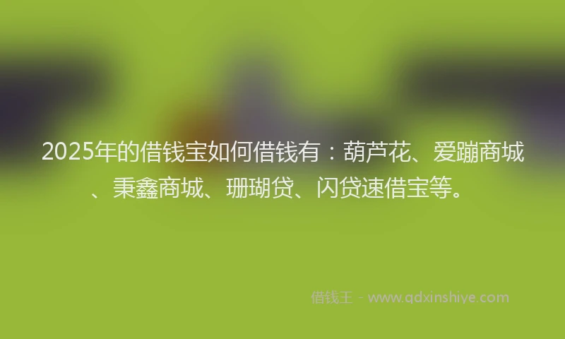2025年的借钱宝如何借钱有：葫芦花、爱蹦商城、秉鑫商城、珊瑚贷、闪贷速借宝等。