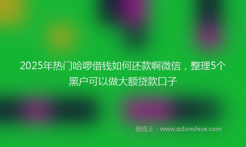 2025年热门哈啰借钱如何还款啊微信，整理5个黑户可以做大额贷款口子