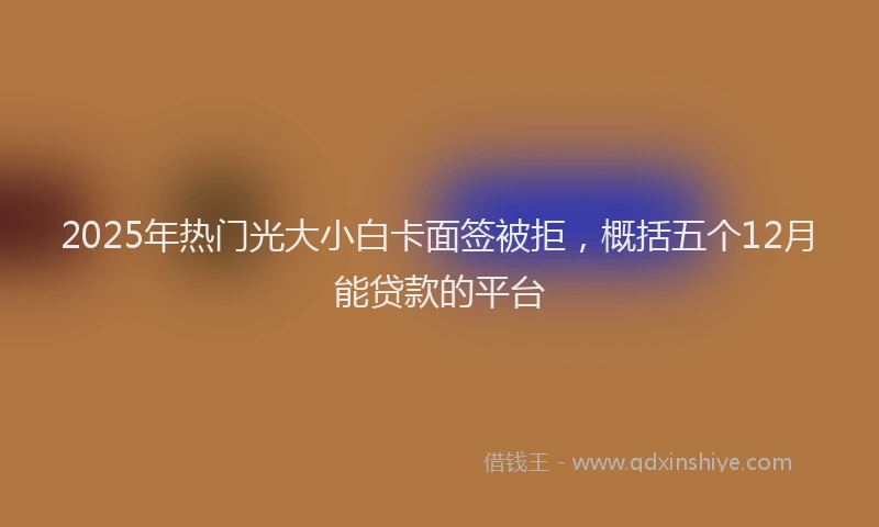 2025年热门光大小白卡面签被拒，概括五个12月能贷款的平台