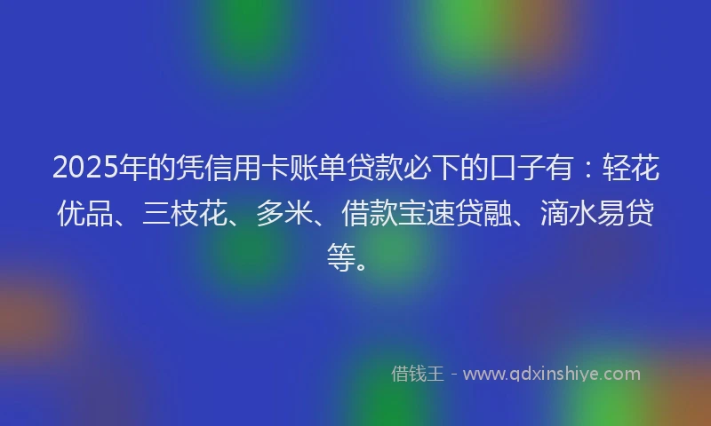 2025年的凭信用卡账单贷款必下的口子有：轻花优品、三枝花、多米、借款宝速贷融、滴水易贷等。