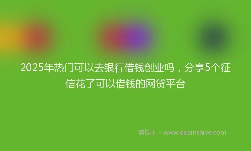 2025年热门可以去银行借钱创业吗，分享5个征信花了可以借钱的网贷平台