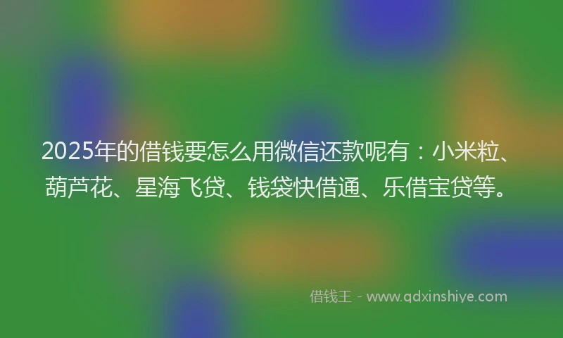 2025年的借钱要怎么用微信还款呢有：小米粒、葫芦花、星海飞贷、钱袋快借通、乐借宝贷等。