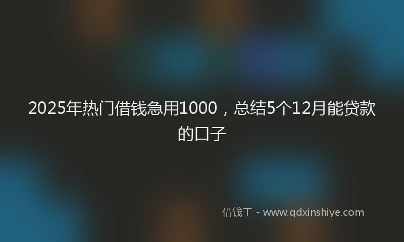 2025年热门借钱急用1000，总结5个12月能贷款的口子