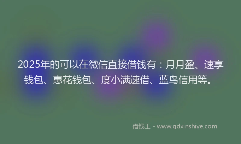 2025年的可以在微信直接借钱有：月月盈、速享钱包、惠花钱包、度小满速借、蓝鸟信用等。