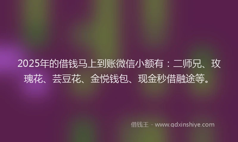 2025年的借钱马上到账微信小额有：二师兄、玫瑰花、芸豆花、金悦钱包、现金秒借融途等。