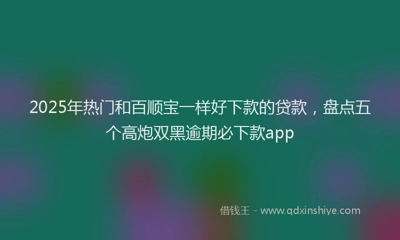 2025年热门和百顺宝一样好下款的贷款，盘点五个高炮双黑逾期必下款app