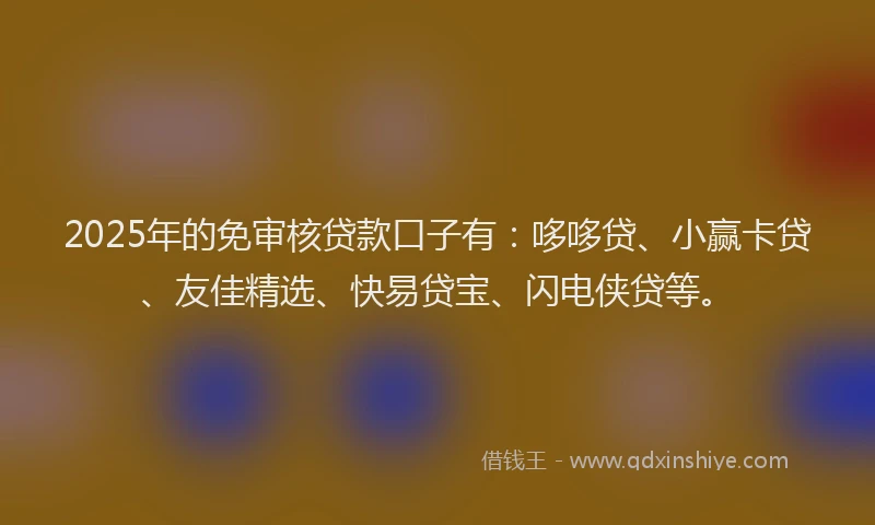 2025年的免审核贷款口子有：哆哆贷、小赢卡贷、友佳精选、快易贷宝、闪电侠贷等。