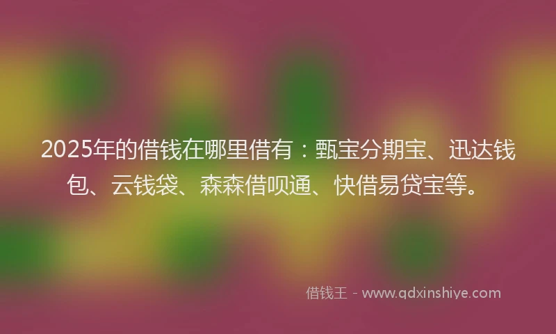 2025年的借钱在哪里借有：甄宝分期宝、迅达钱包、云钱袋、森森借呗通、快借易贷宝等。