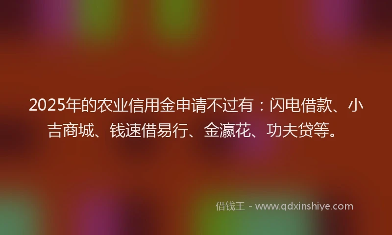 2025年的农业信用金申请不过有：闪电借款、小吉商城、钱速借易行、金瀛花、功夫贷等。