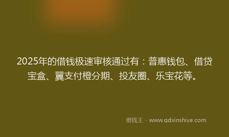 2025年的借钱极速审核通过有：普惠钱包、借贷宝盒、翼支付橙分期、投友圈、乐宝花等。