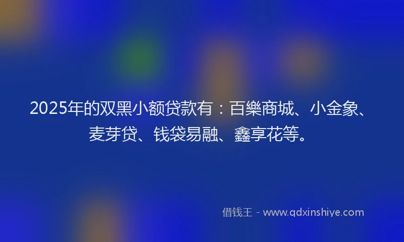2025年的双黑小额贷款有：百樂商城、小金象、麦芽贷、钱袋易融、鑫享花等。