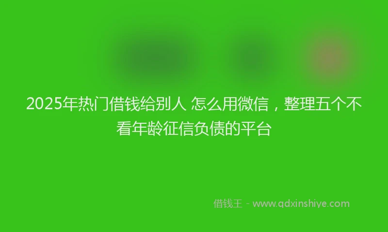 2025年热门借钱给别人 怎么用微信，整理五个不看年龄征信负债的平台