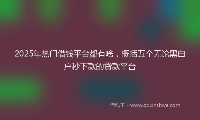 2025年热门借钱平台都有啥，概括五个无论黑白户秒下款的贷款平台