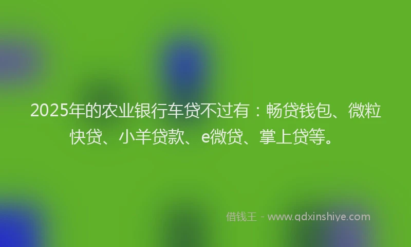 2025年的农业银行车贷不过有：畅贷钱包、微粒快贷、小羊贷款、e微贷、掌上贷等。