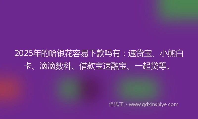 2025年的哈银花容易下款吗有：速贷宝、小熊白卡、滴滴数科、借款宝速融宝、一起贷等。