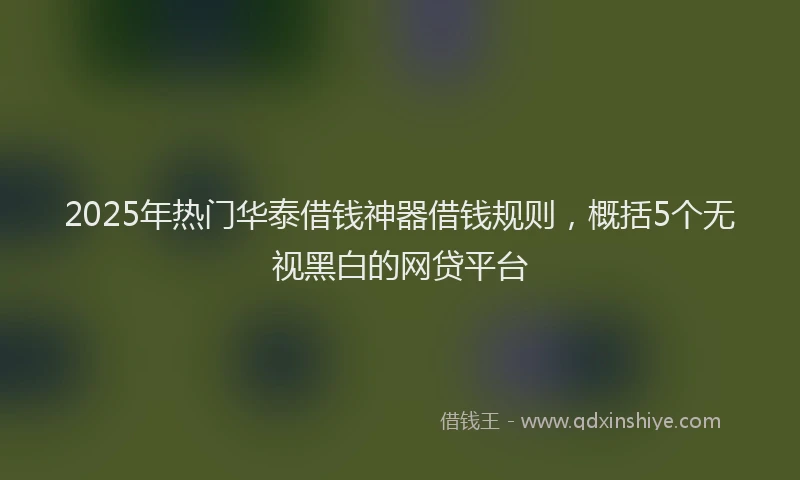 2025年热门华泰借钱神器借钱规则，概括5个无视黑白的网贷平台