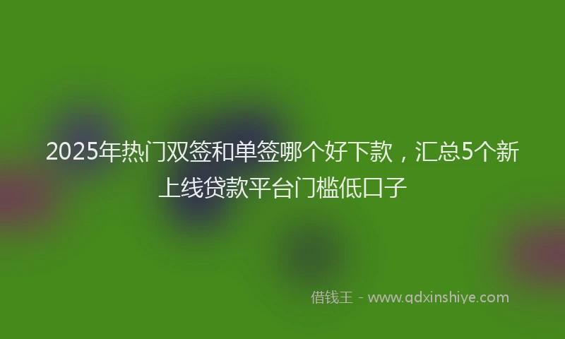 2025年热门双签和单签哪个好下款，汇总5个新上线贷款平台门槛低口子