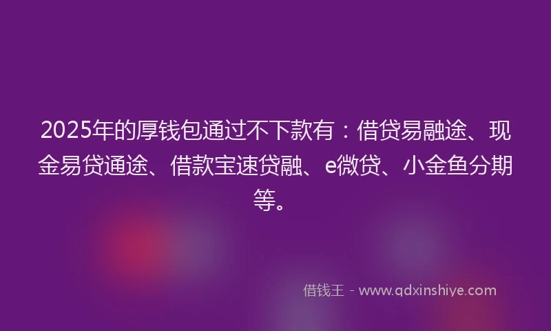 2025年的厚钱包通过不下款有：借贷易融途、现金易贷通途、借款宝速贷融、e微贷、小金鱼分期等。