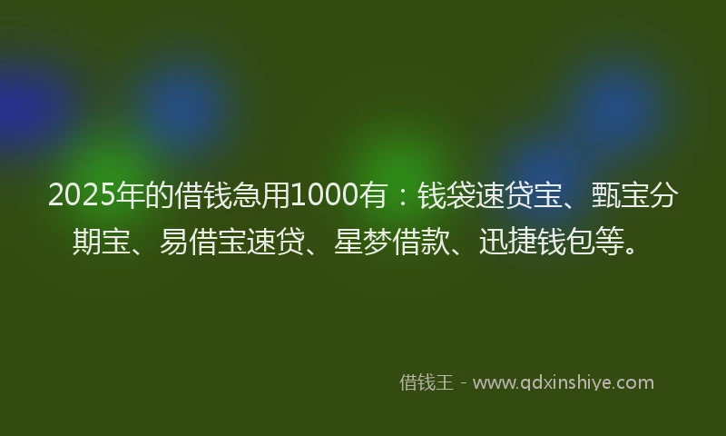 2025年的借钱急用1000有：钱袋速贷宝、甄宝分期宝、易借宝速贷、星梦借款、迅捷钱包等。