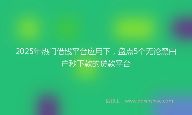 2025年热门借钱平台应用下，盘点5个无论黑白户秒下款的贷款平台