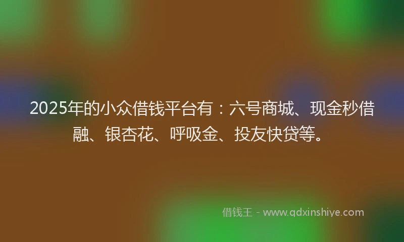 2025年的小众借钱平台有:六号商城、现金秒借融、银杏花、呼吸金、投友快贷等。