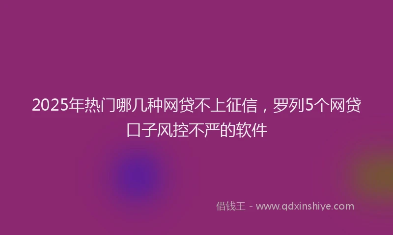 2025年热门哪几种网贷不上征信，罗列5个网贷口子风控不严的软件