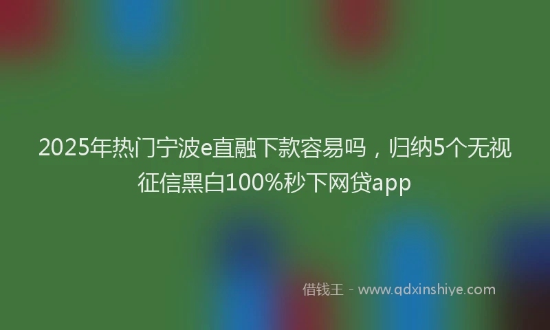 2025年热门宁波e直融下款容易吗，归纳5个无视征信黑白100%秒下网贷app