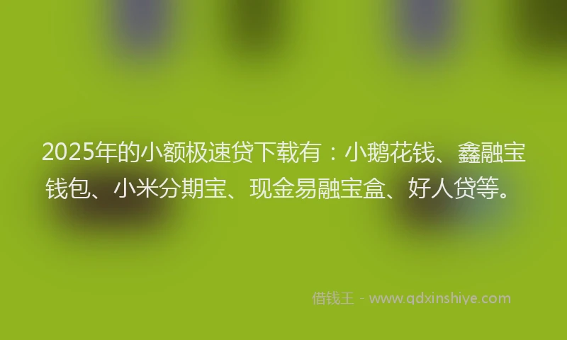 2025年的小额极速贷下载有：小鹅花钱、鑫融宝钱包、小米分期宝、现金易融宝盒、好人贷等。