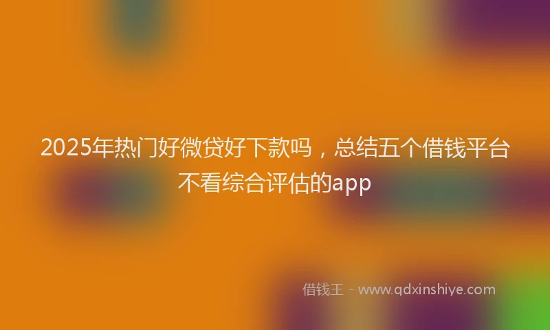 2025年热门好微贷好下款吗，总结五个借钱平台不看综合评估的app