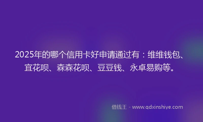 2025年的哪个信用卡好申请通过有：维维钱包、宜花呗、森森花呗、豆豆钱、永卓易购等。