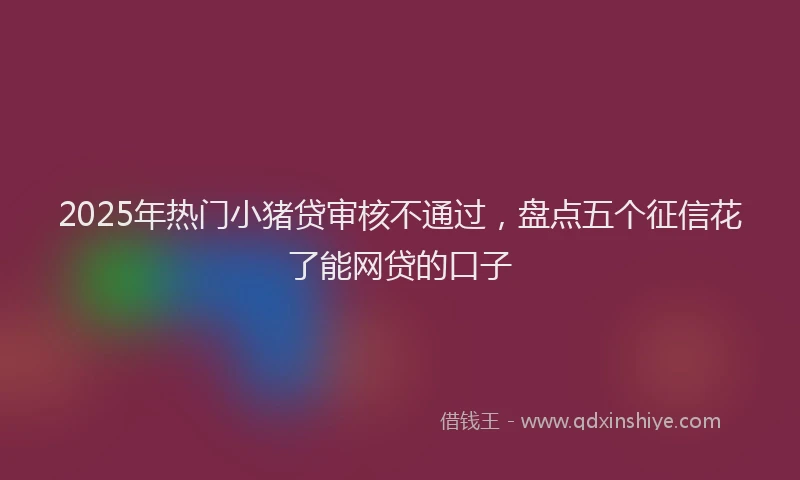 2025年热门小猪贷审核不通过，盘点五个征信花了能网贷的口子