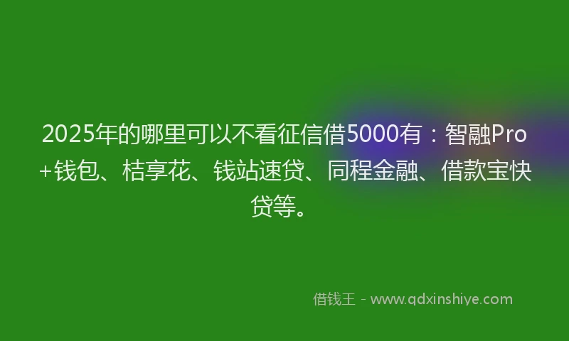 2025年的哪里可以不看征信借5000有：智融Pro+钱包、桔享花、钱站速贷、同程金融、借款宝快贷等。