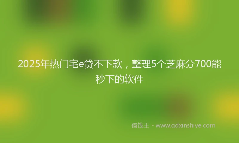 2025年热门宅e贷不下款，整理5个芝麻分700能秒下的软件