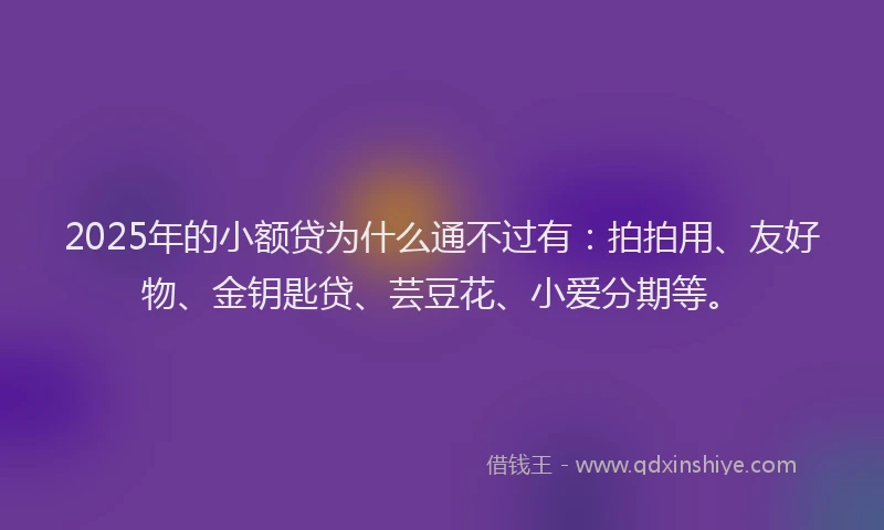 2025年的小额贷为什么通不过有：拍拍用、友好物、金钥匙贷、芸豆花、小爱分期等。