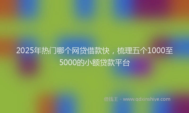 2025年热门哪个网贷借款快，梳理五个1000至5000的小额贷款平台