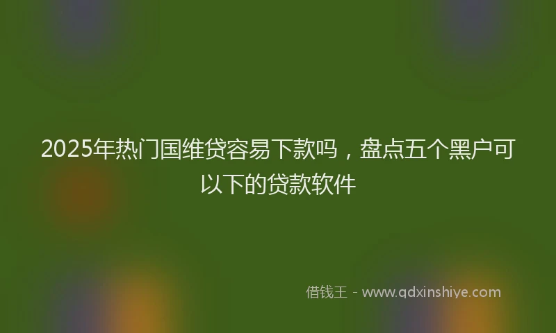 2025年热门国维贷容易下款吗，盘点五个黑户可以下的贷款软件