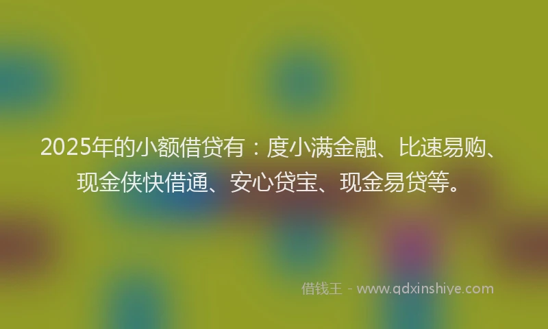 2025年的小额借贷有:度小满金融、比速易购、现金侠快借通、安心贷宝、现金易贷等。