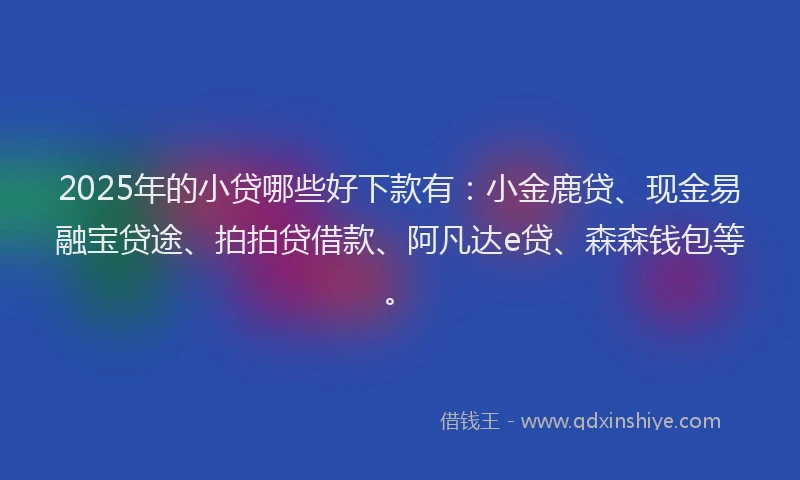 2025年的小贷哪些好下款有：小金鹿贷、现金易融宝贷途、拍拍贷借款、阿凡达e贷、森森钱包等。