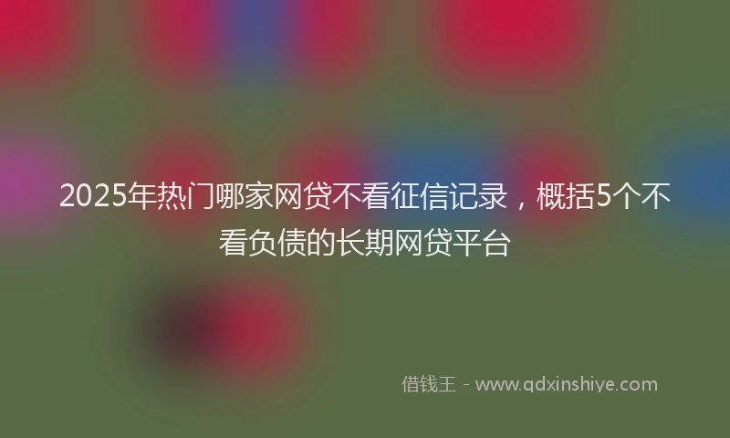 2025年热门哪家网贷不看征信记录，概括5个不看负债的长期网贷平台