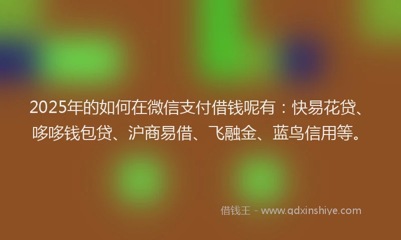 2025年的如何在微信支付借钱呢有：快易花贷、哆哆钱包贷、沪商易借、飞融金、蓝鸟信用等。