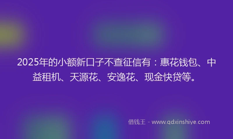 2025年的小额新口子不查征信有：惠花钱包、中益租机、天源花、安逸花、现金快贷等。