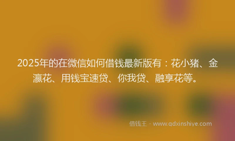 2025年的在微信如何借钱最新版有：花小猪、金瀛花、用钱宝速贷、你我贷、融享花等。