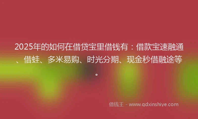 2025年的如何在借贷宝里借钱有：借款宝速融通、借蛙、多米易购、时光分期、现金秒借融途等。
