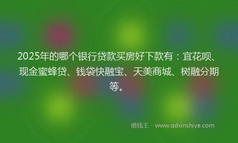 2025年的哪个银行贷款买房好下款有：宜花呗、现金蜜蜂贷、钱袋快融宝、天美商城、树融分期等。